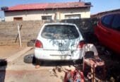 Ford fiesta endura