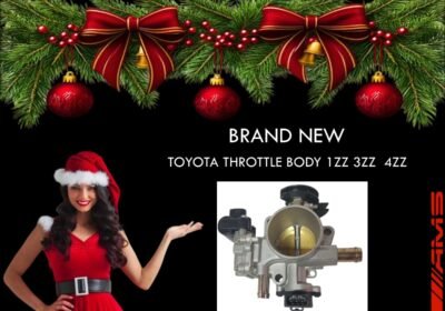 0c7209b5-882e-4992-8039-cc01b8155423