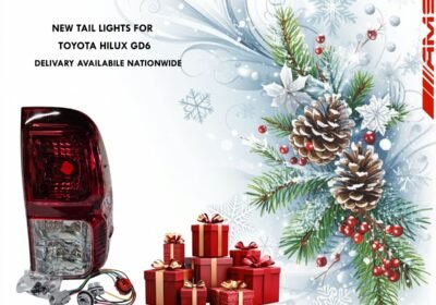 11917c71-320b-435b-a254-723b3e15ddd6