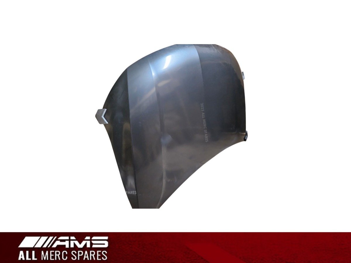 TRITON 2017–2019 BONNET