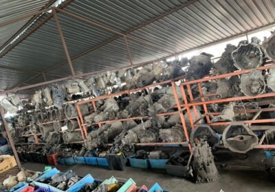 WhatsApp-Image-2025-10-29-at-11.10.29_0316d560