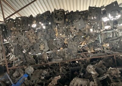 WhatsApp-Image-2025-10-29-at-11.10.31_1209c329