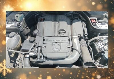 056ae15b-17f0-4e12-b59c-a4531a61bb92