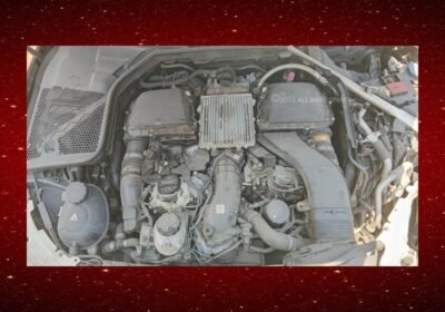 174c12a8-8630-4dde-add3-98b61be7c38d