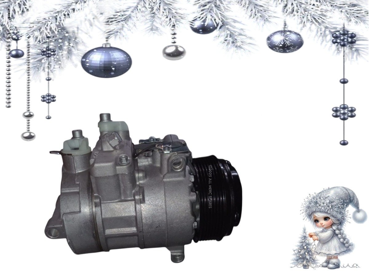 M642 BlueTEC Aircon Pump – Brand New