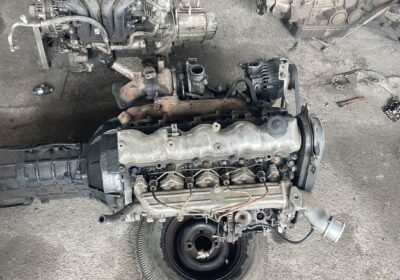 WhatsApp-Image-2025-12-12-at-14.34.00_37ed6026