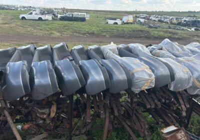 WhatsApp-Image-2026-01-23-at-16.47.38